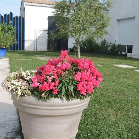 Laubertiere Marennes