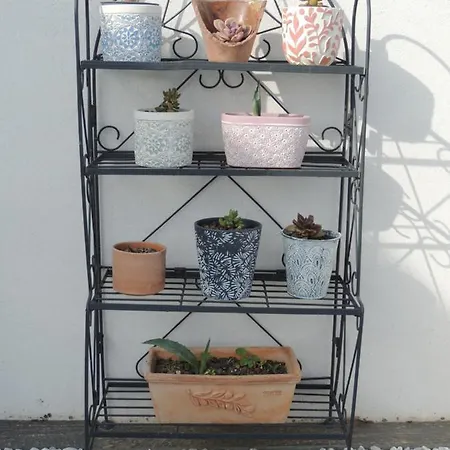 Laubertiere 3* Marennes