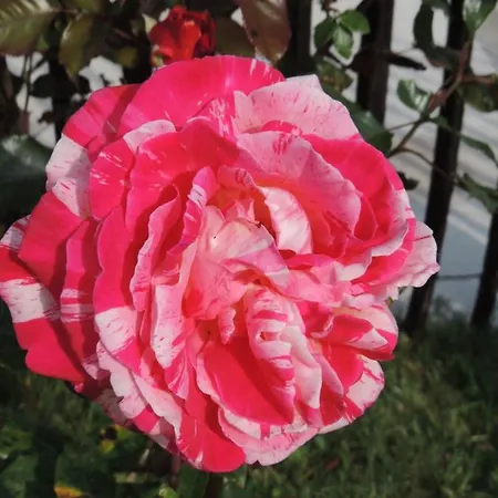 Panzió Laubertiere Marennes